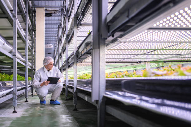 Smart agriculture specialist keeping careful records about indoor crops growing in a vertical farm facility.